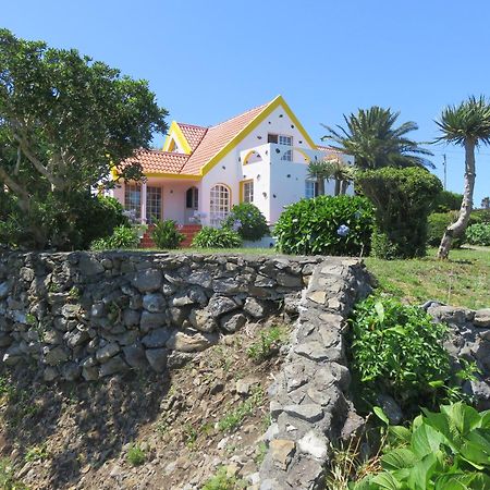 Villa Cedros Santa Cruz das Flores Exteriör bild